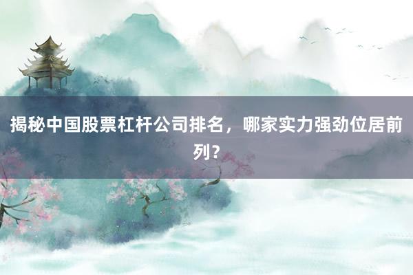 揭秘中国股票杠杆公司排名，哪家实力强劲位居前列？