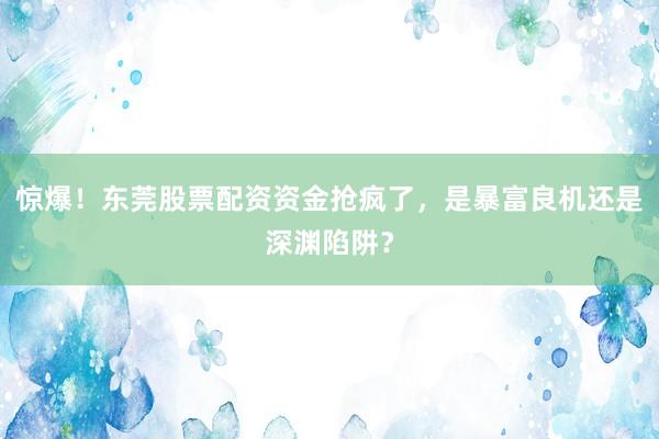 惊爆！东莞股票配资资金抢疯了，是暴富良机还是深渊陷阱？