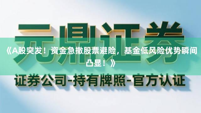 《A股突发！资金急撤股票避险，基金低风险优势瞬间凸显！》