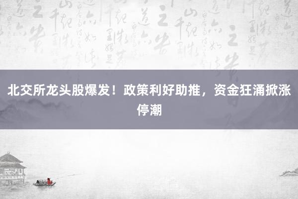 北交所龙头股爆发！政策利好助推，资金狂涌掀涨停潮