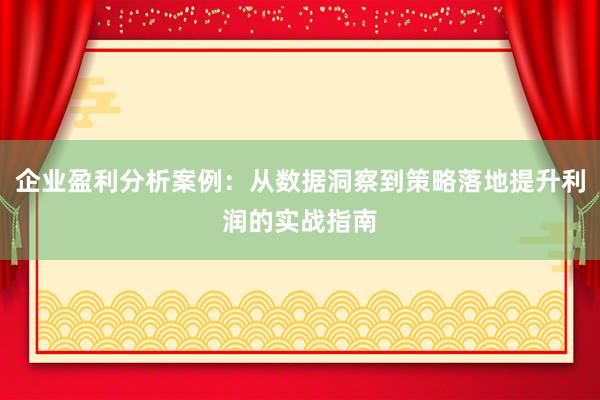 企业盈利分析案例：从数据洞察到策略落地提升利润的实战指南