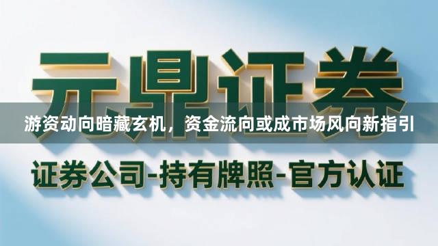 游资动向暗藏玄机，资金流向或成市场风向新指引